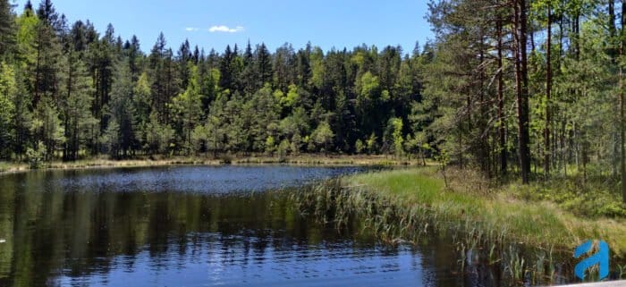 HaukkaLampi, Nuuksio National Park