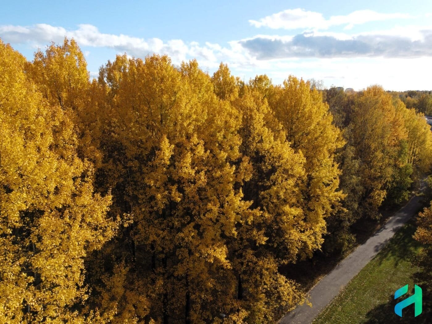 Autumn colours in Malminkartano Helsinki