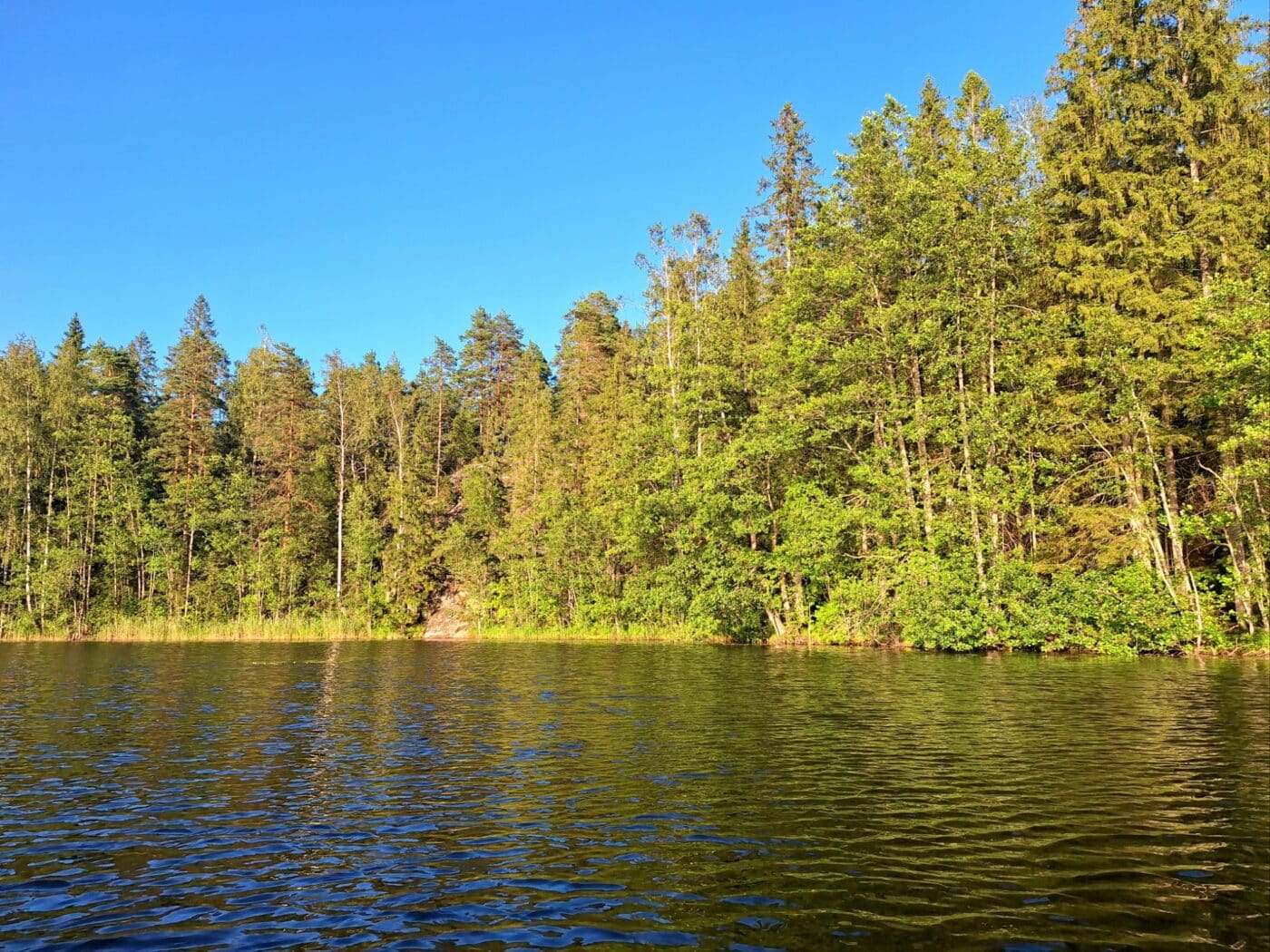 Lake Vääräjarvi