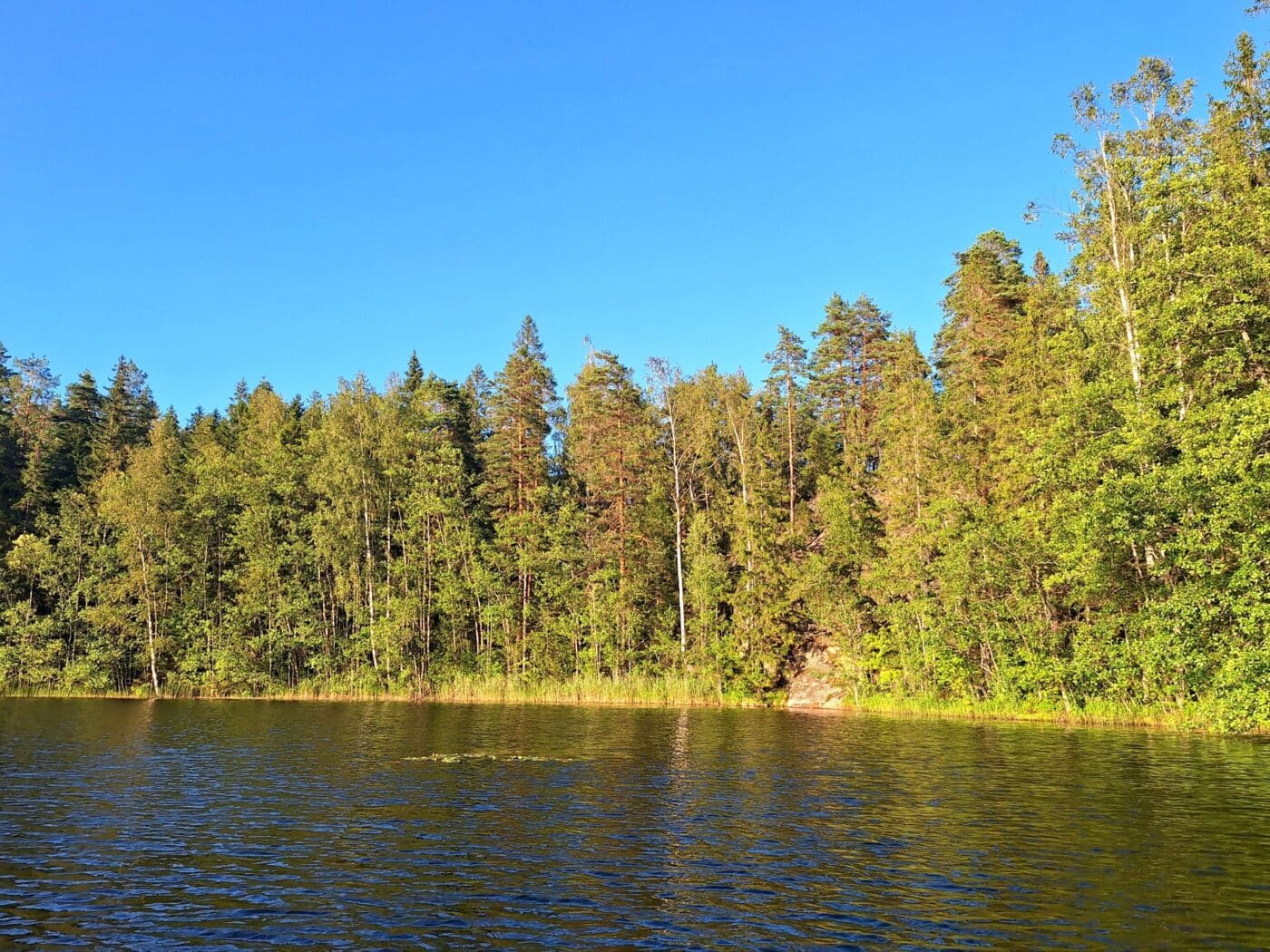 Vaarajarvi